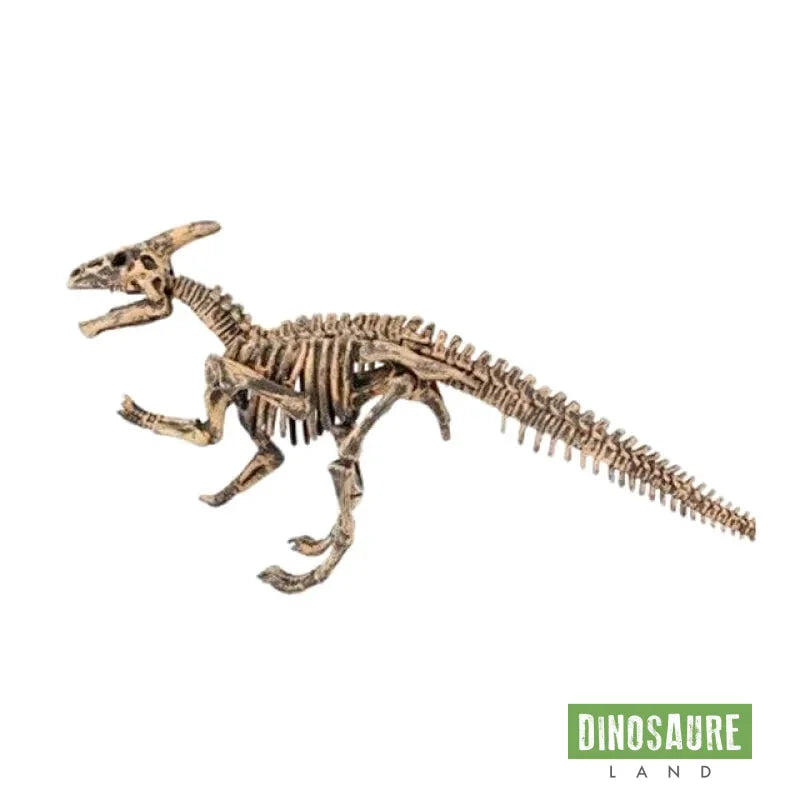 Jouet Archéologie Dinosaure Parasaurolophus