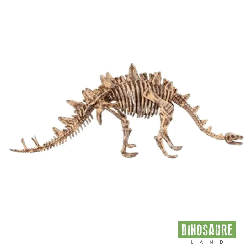 Jouet Archéologie Dinosaure Stégosaure