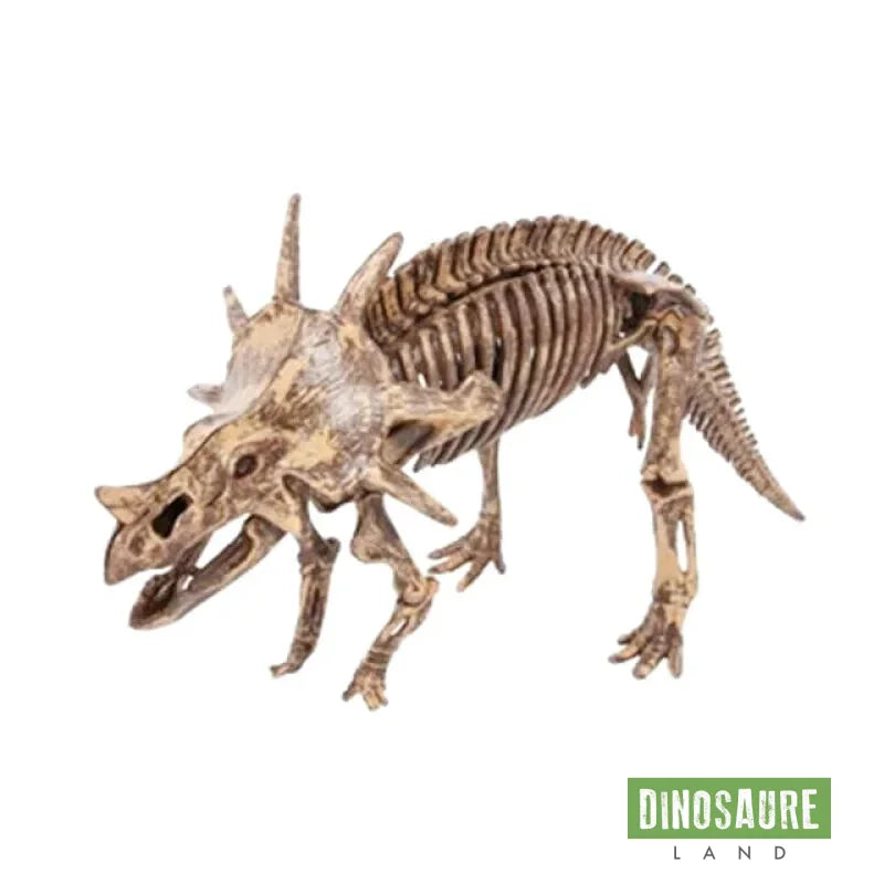 Jouet Archéologie Dinosaure Styracosaurus