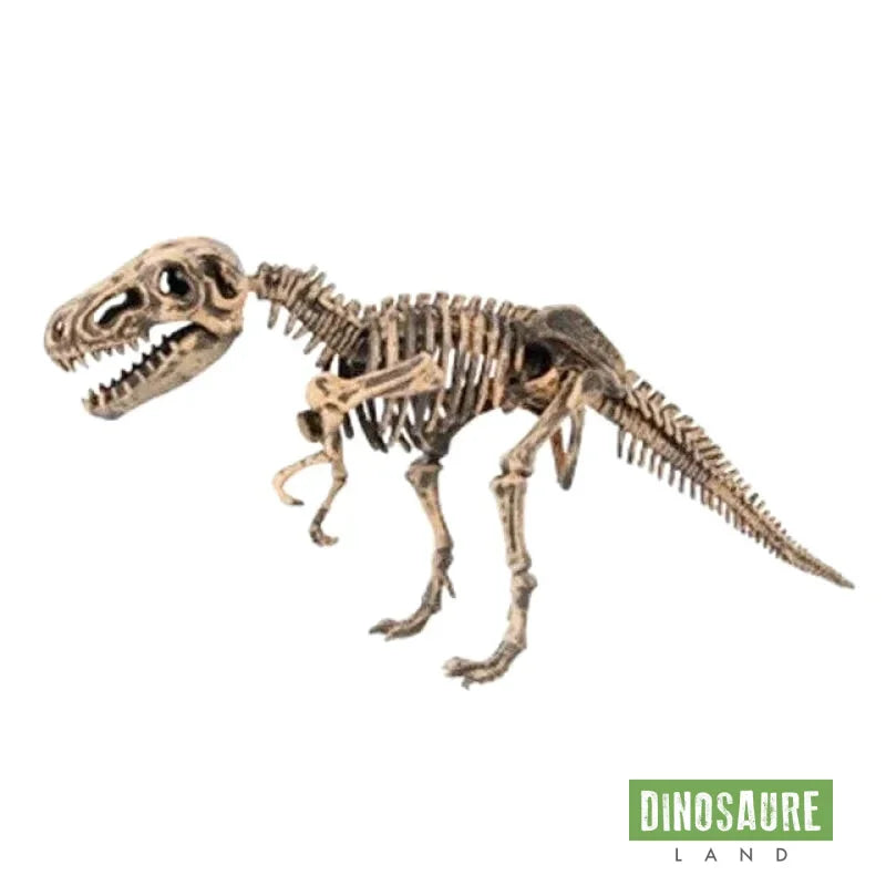 Jouet Archéologie Dinosaure T Rex