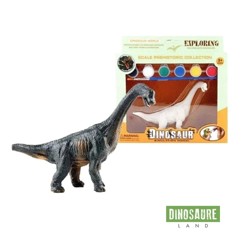 Jouet Décorer un Dinosaure Diplodocus