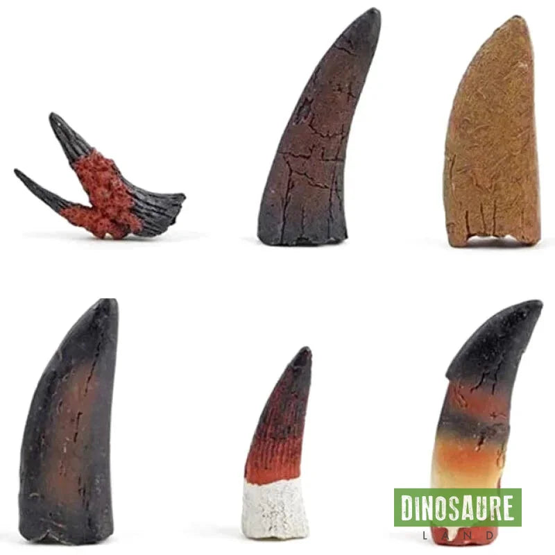 Jouet Dent de Dinosaure