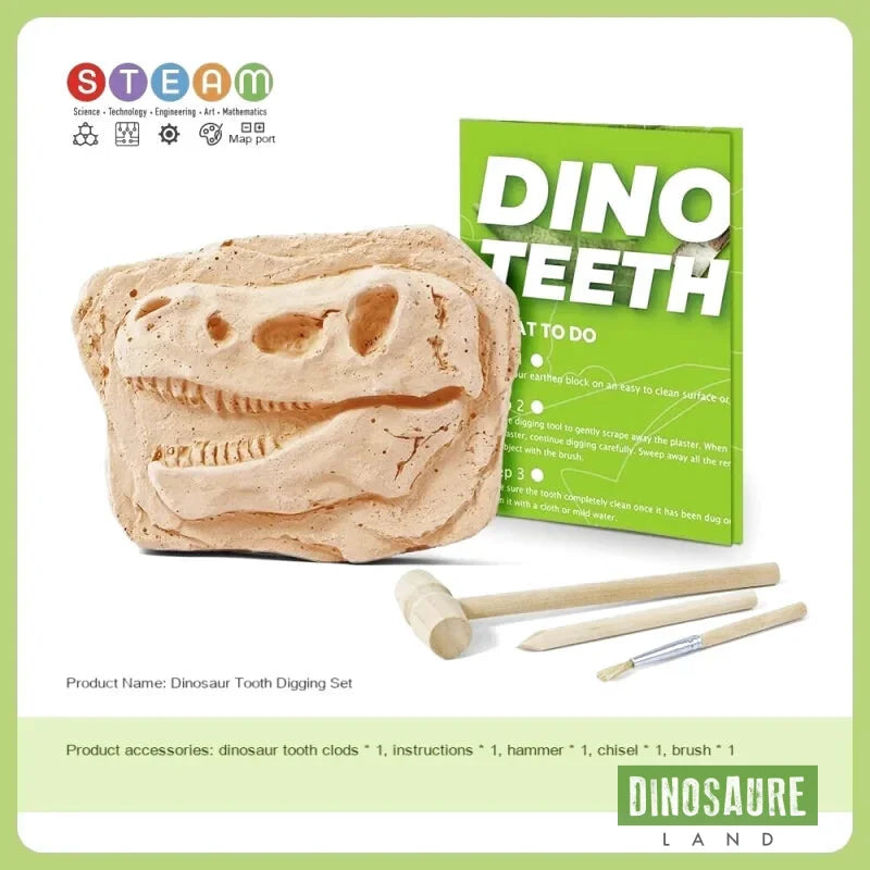 Jouet Dent de Dino