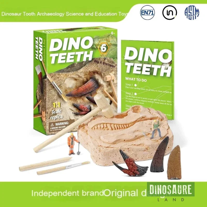 Jouet Dent Dinosaure