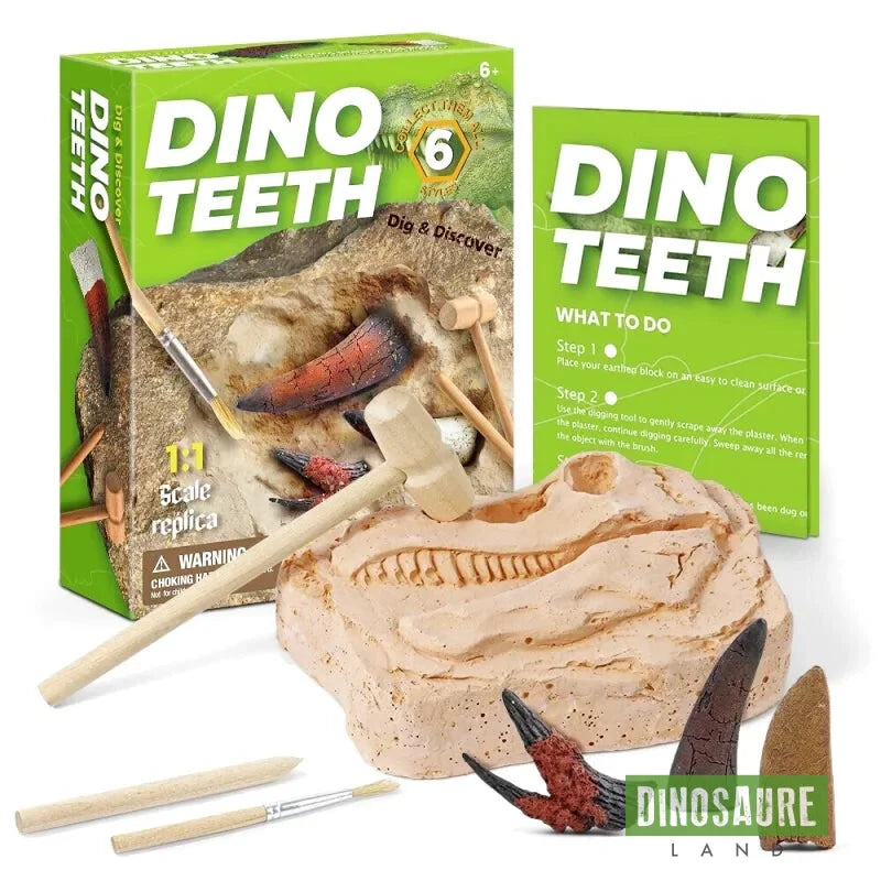 Jouet Dent de Dinosaure