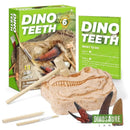 Jouet Dent de Dinosaure