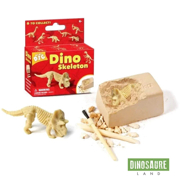 Jouet Dinosaure à Deterrer