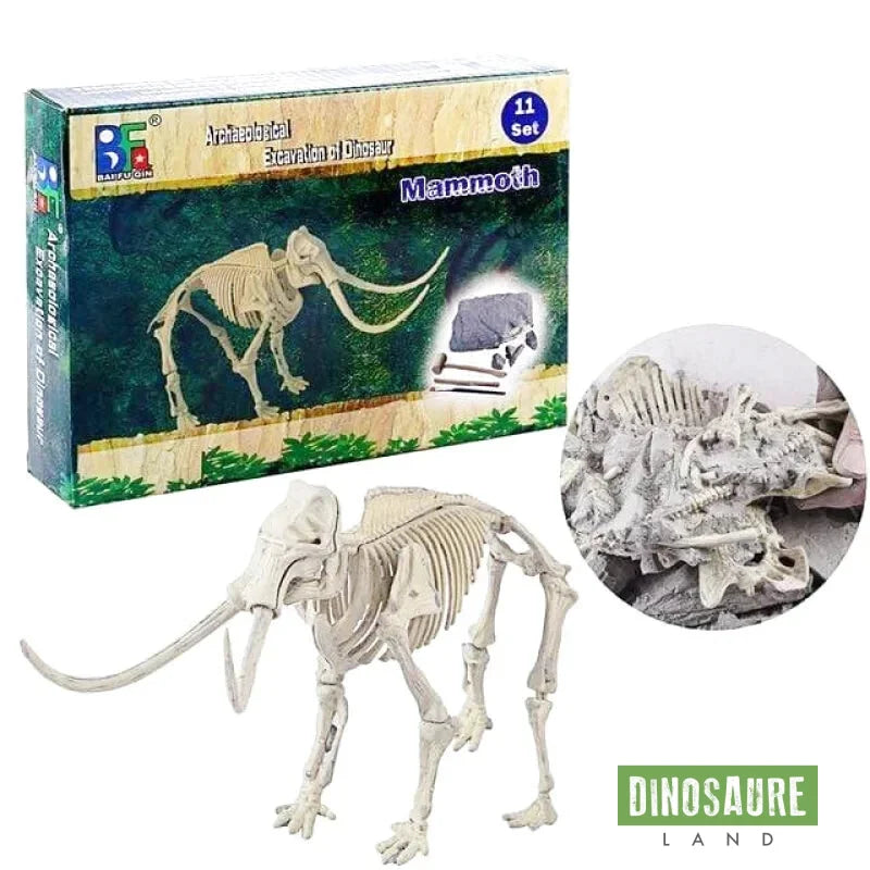 Jouet Dinosaure Kit de Fouille Mammouth