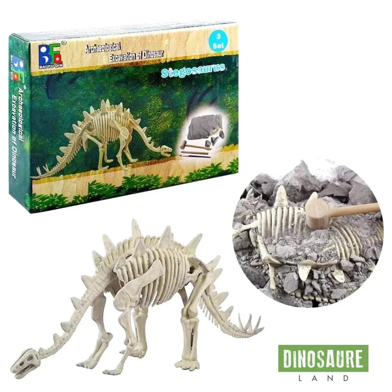 Jouet Dinosaure Kit de Fouille Stegosaurus