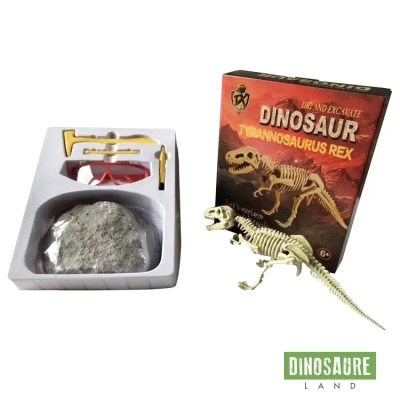 Jouet Dinosaure Os