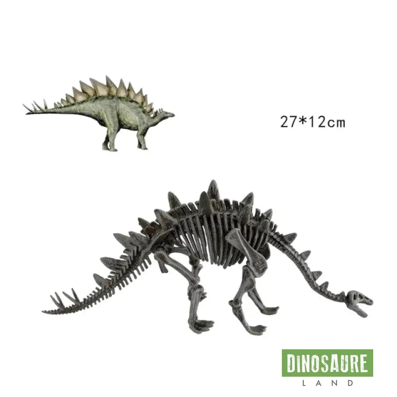 Jouet Dinosaure Os Stégosaure
