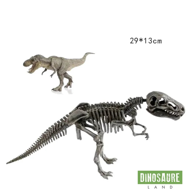 Jouet Dinosaure Os T Rex