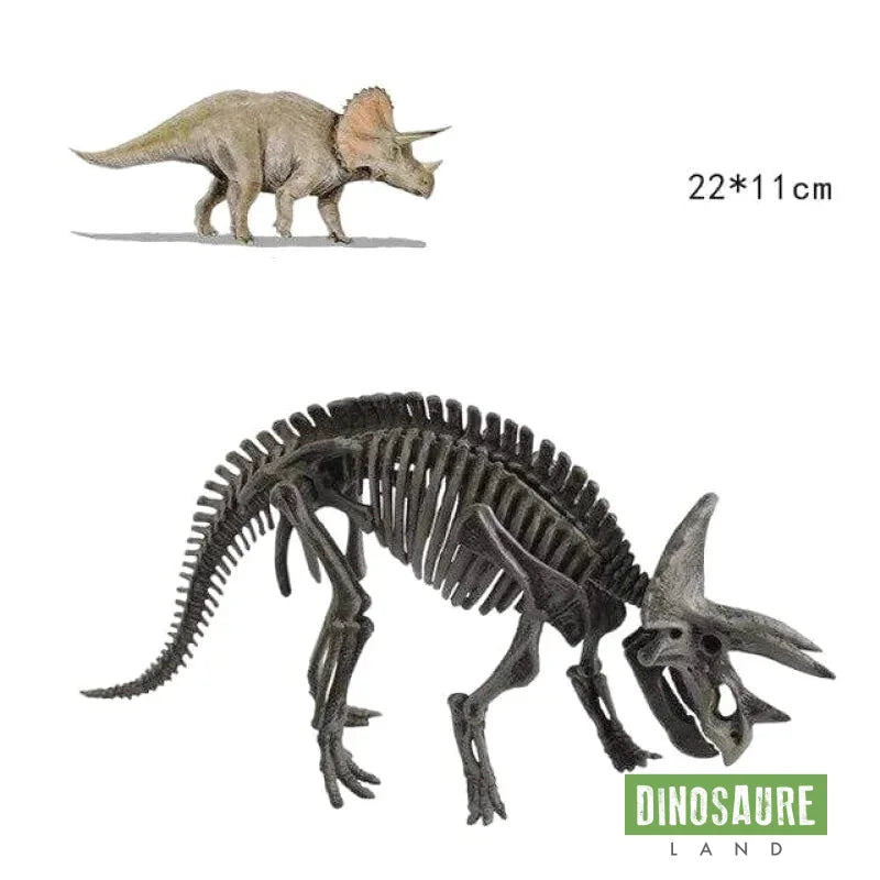 Jouet Dinosaure Os Tricératops