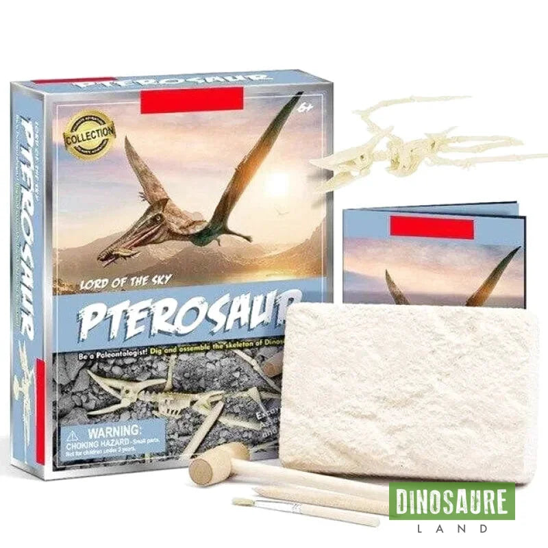 Jouet Dinosaure Ptérosaure