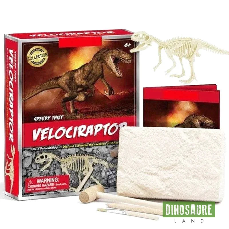 Jouet Dinosaure Vélociraptor