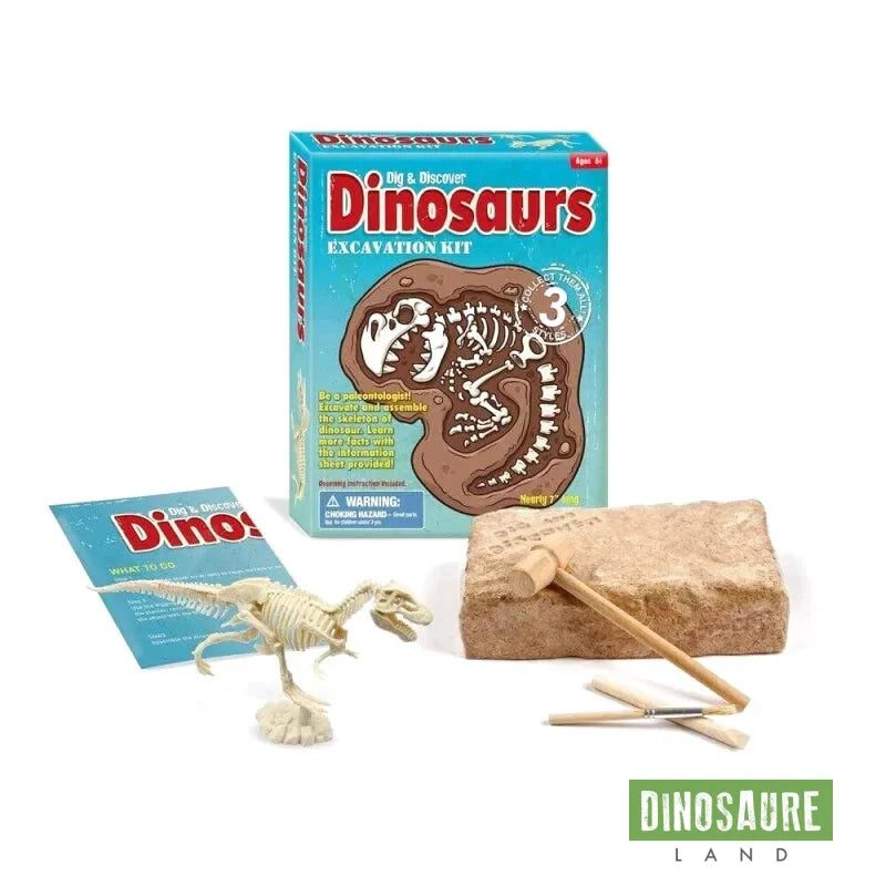 Jouet Éducatif Dinosaure