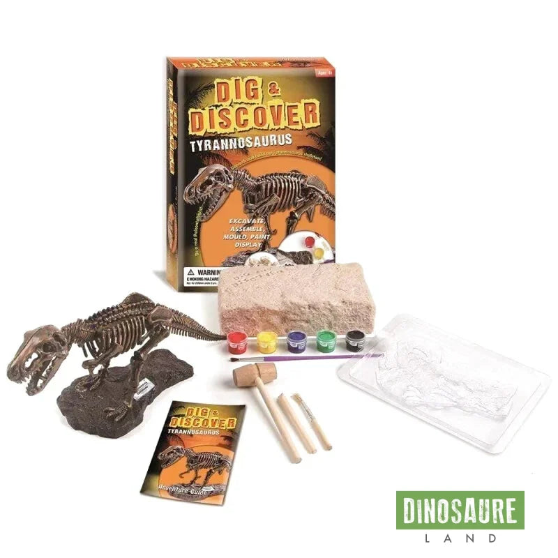 Jouet Fossile de Dinosaure