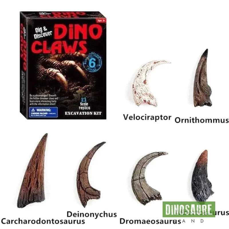 Jouet Griffe de Dinosaure