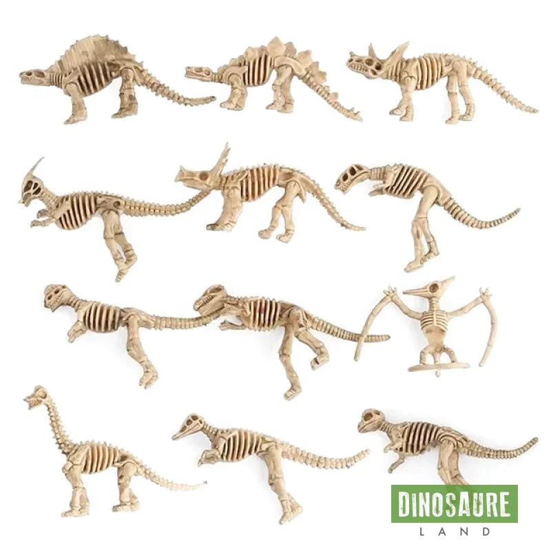 Jouet Dinosaure avec Os - Dino Jurassic