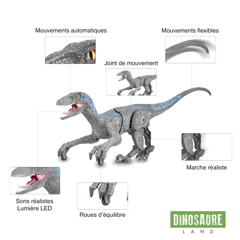 Jouet Robot Dinosaure Télécommandé