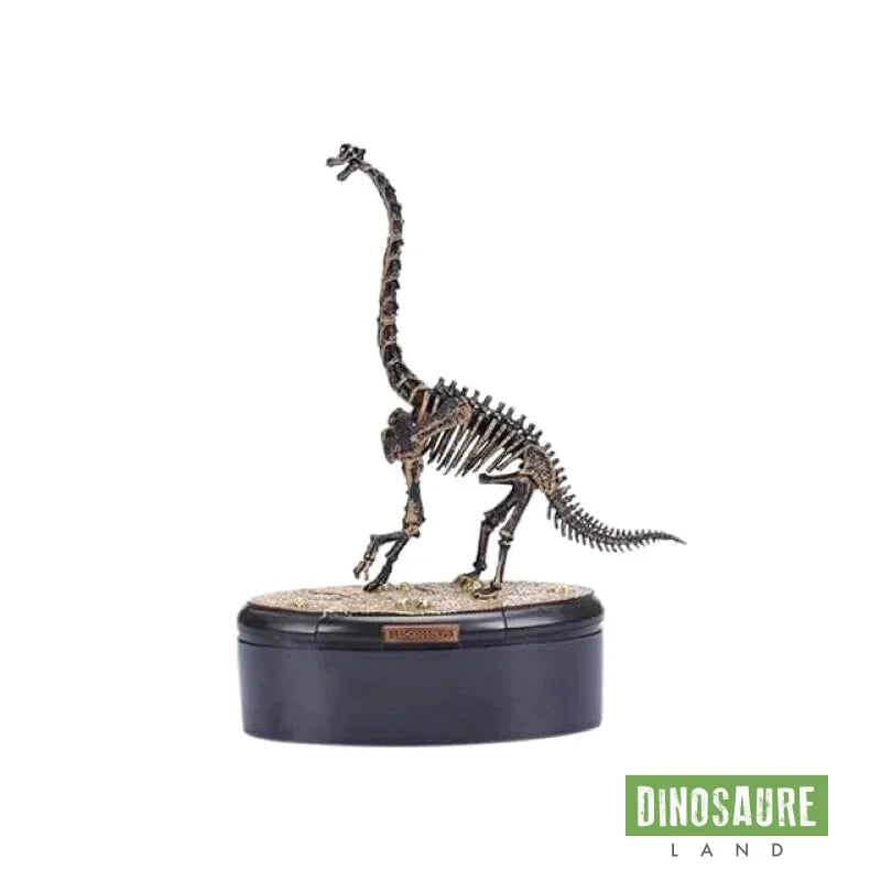 Squelette Brachiosaurus