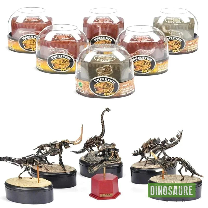 Jouet Squelette de Dinosaure