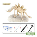 Jouet de Squelette Dinosaure a Decouvrir