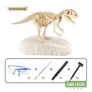 Jouet Dinosaure Squelette a Decouvrir