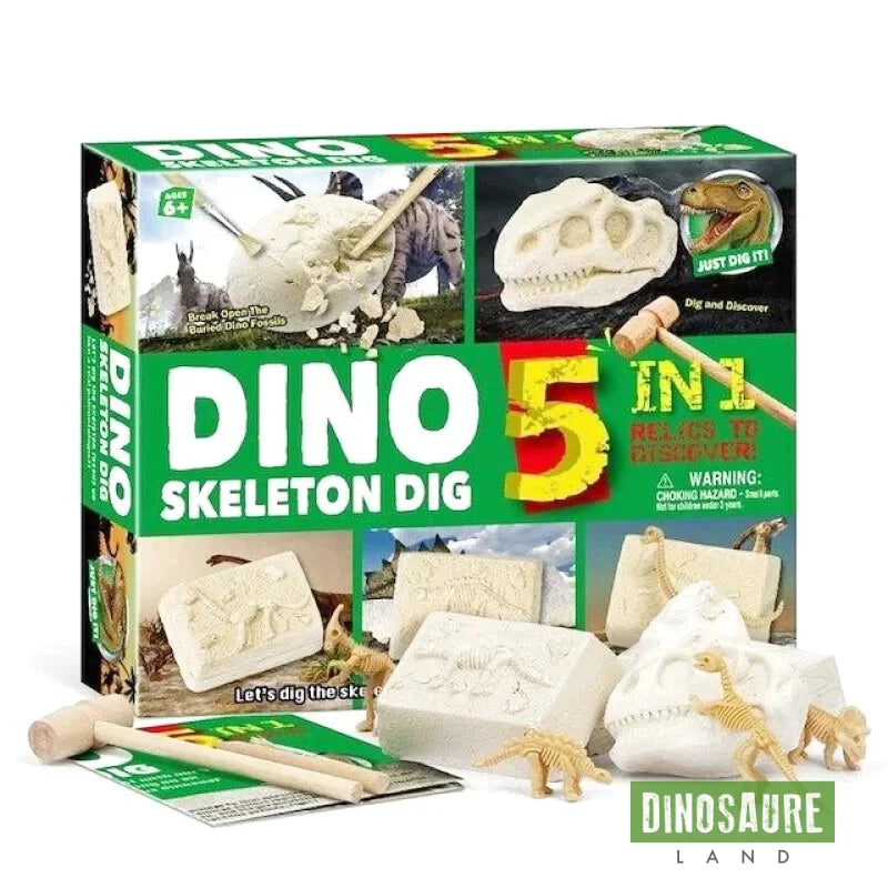 Jouet Squelette Dinosaure à Déterrer
