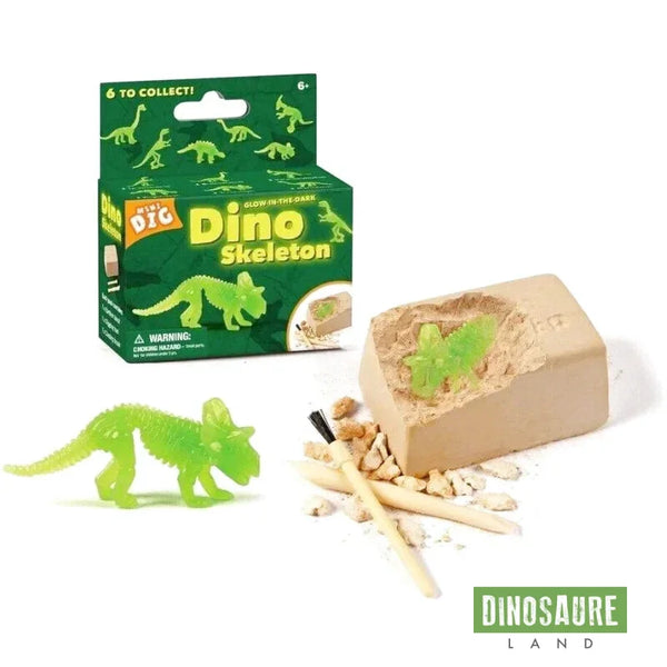 Jouet Squelette Dinosaure Fluorescent