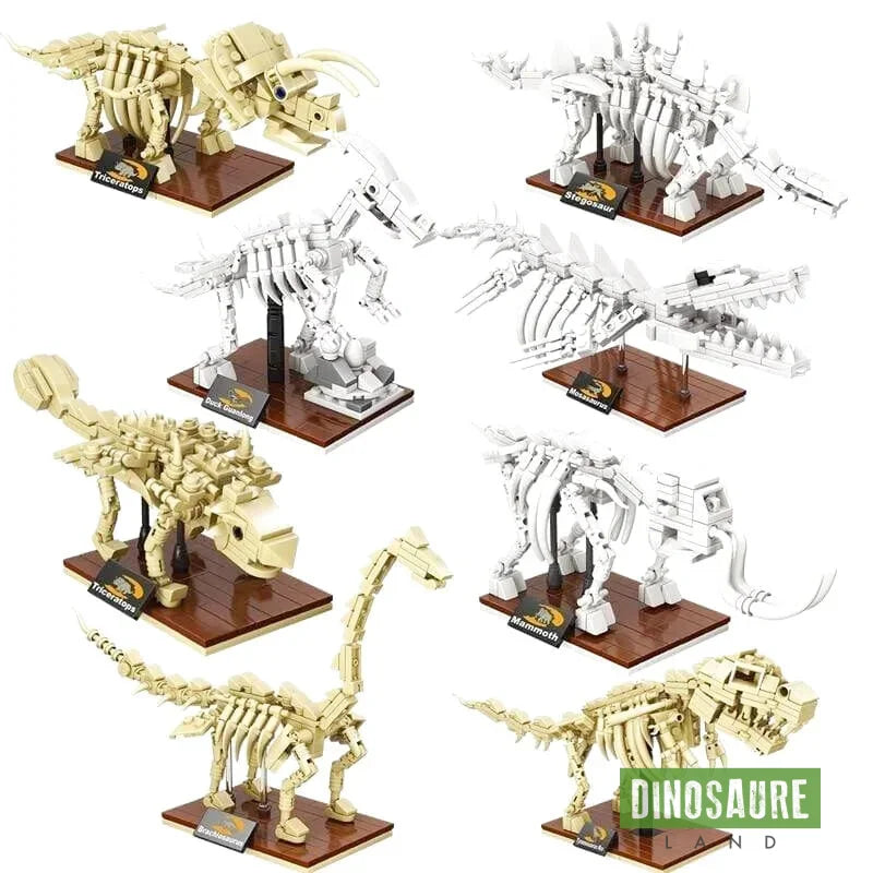 Jouet Squelette Dinosaure