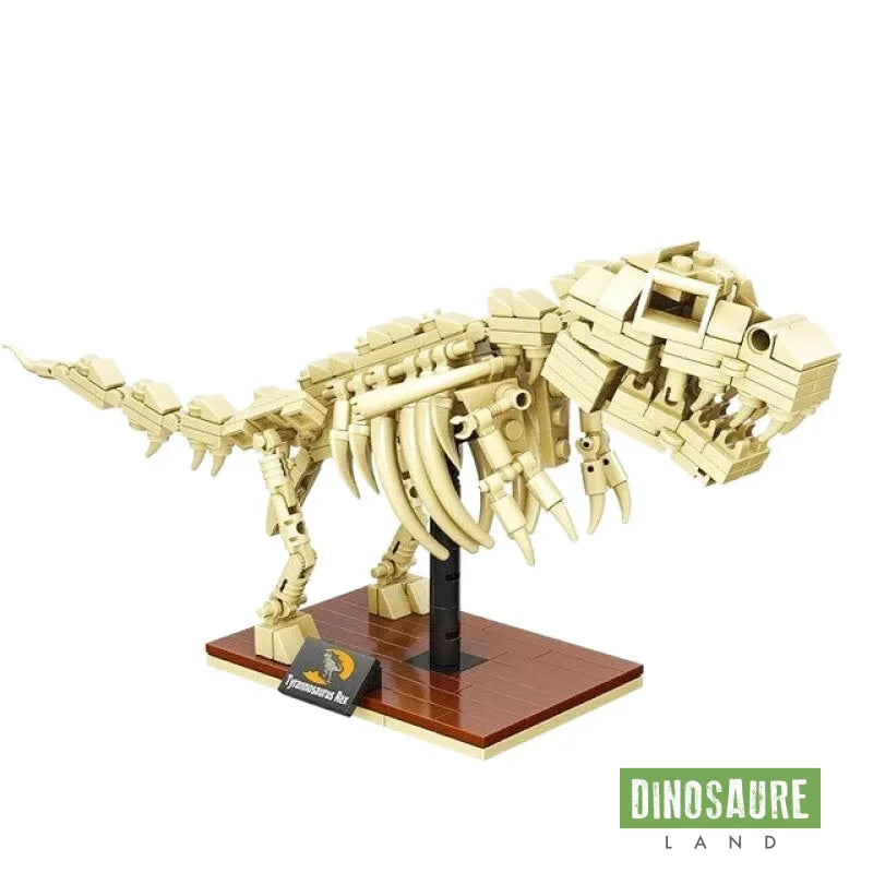 Jouet Squelette Tyrannosaurus Rex