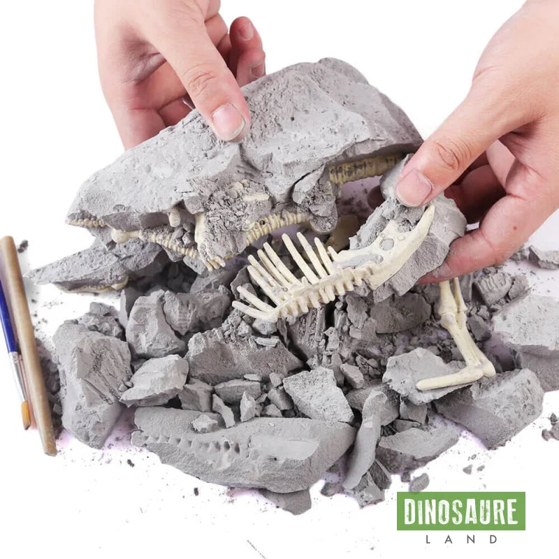 jeu enfant fouille fossile dinosaure