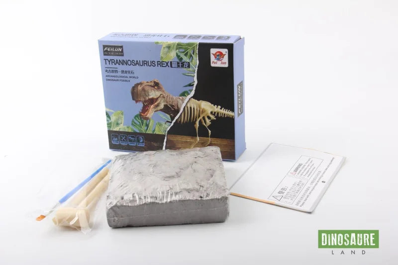 jeu enfant fouille fossile dinosaure