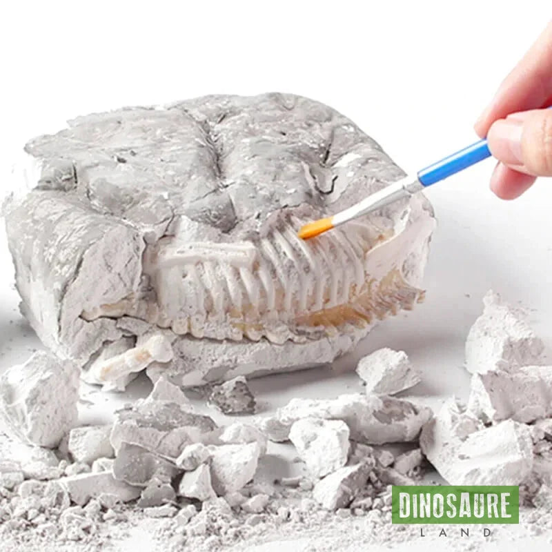 jeu enfant fouille fossile dinosaure