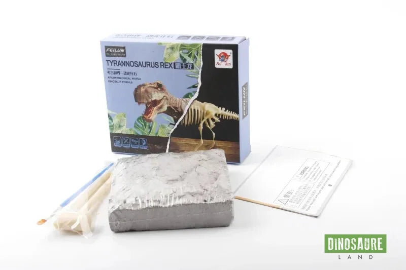 jeu enfant fouille fossile dinosaure