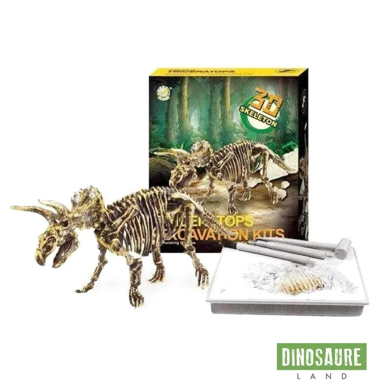 dinosaure fossile jouet