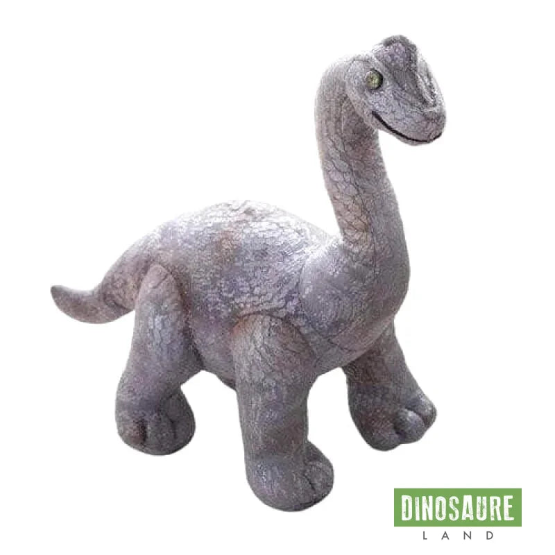 Peluche Dinosaure Brachiosaurus 30cm