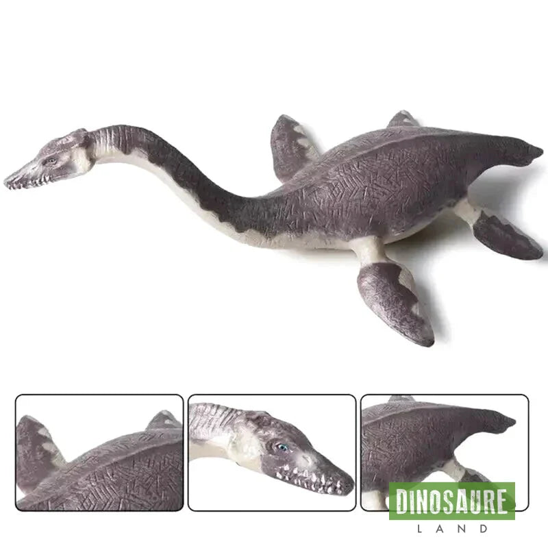 carateristique figurine dinosaure plesiosaure