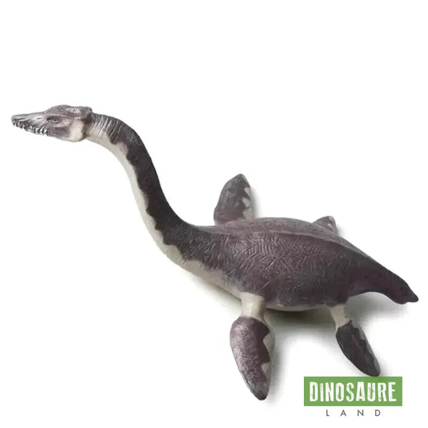 figurine plesiosaure