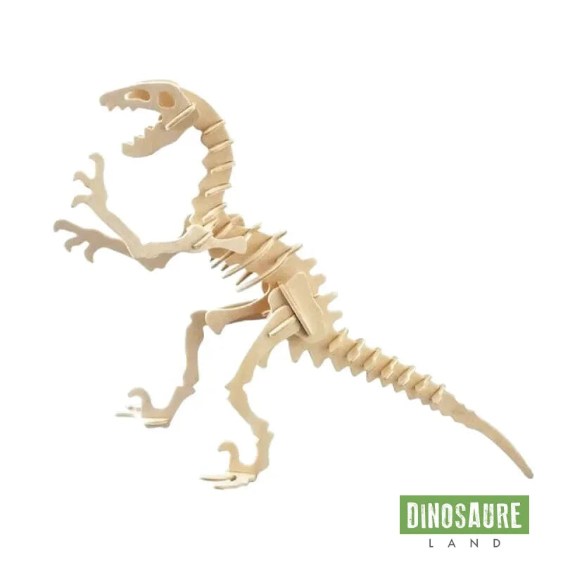 Puzzle 3D Squelette Dinosaure Vélociraptor