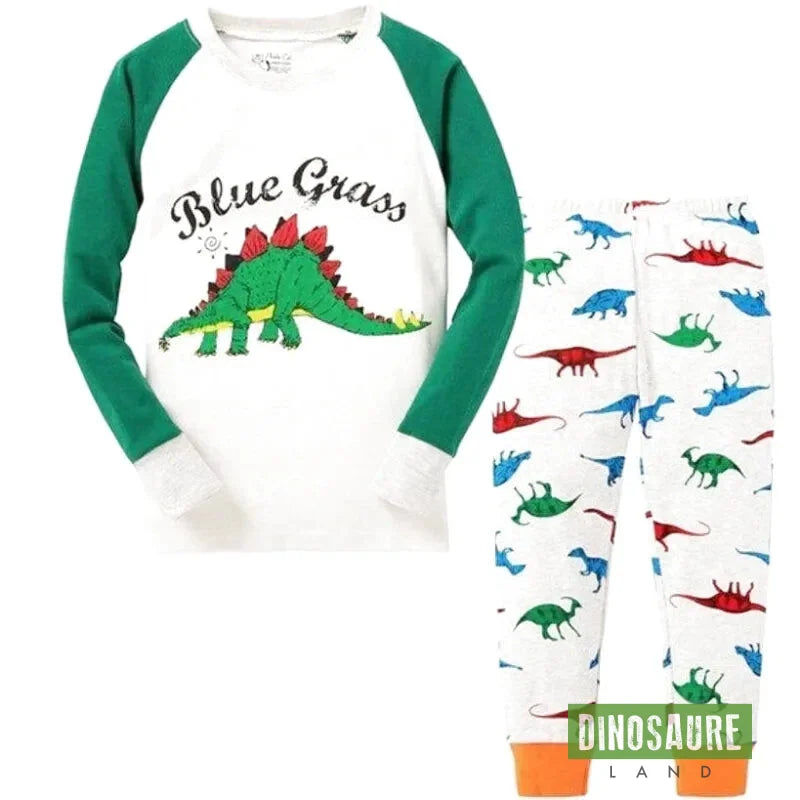 Pyjama Dinosaure 7 ans