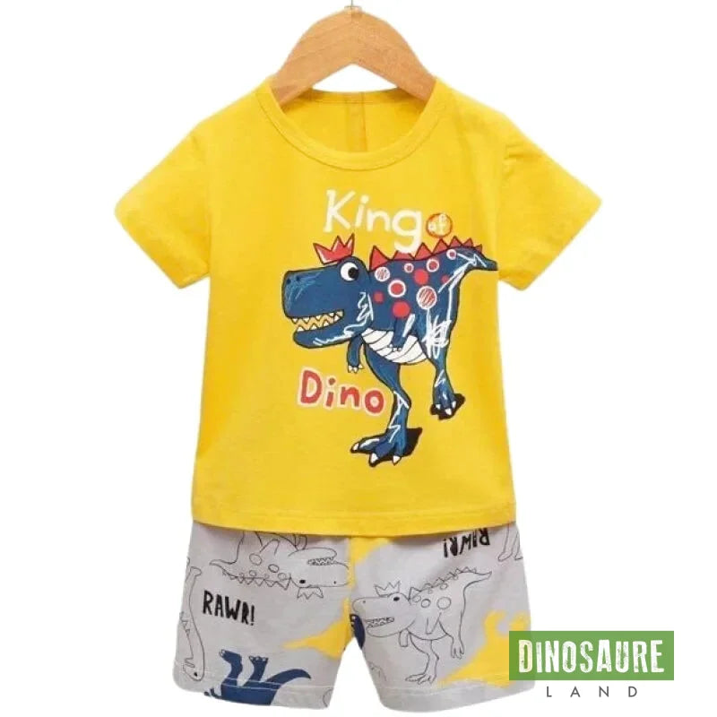 Pyjama Dinosaure Enfant 10 Ans