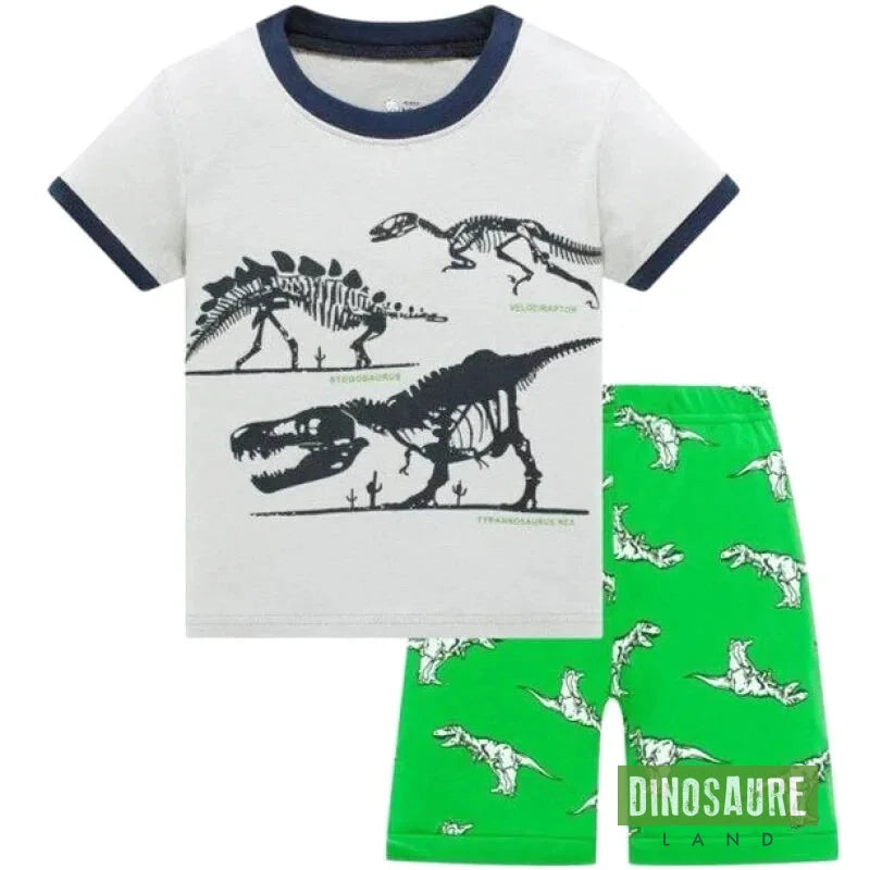 Pyjama Dinosaure Paléontologue