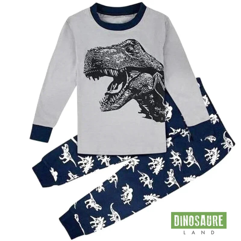 Pyjama Dinosaure 3 Ans