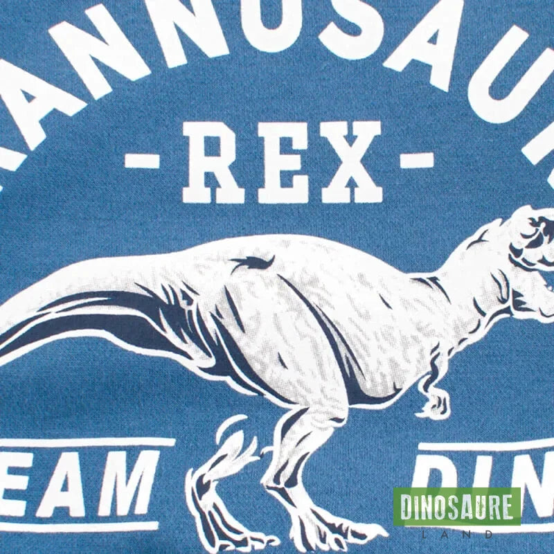 pull dinosaure t rex bleu