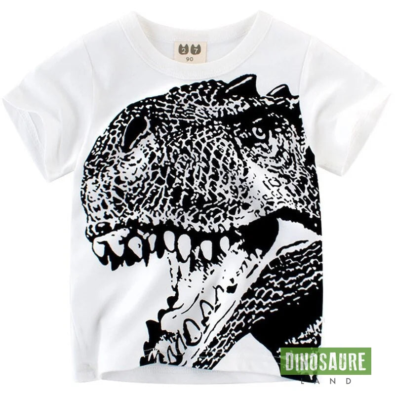 Tee Shirt avec Dinosaure