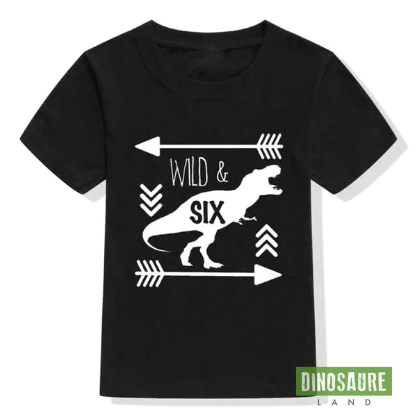 T-Shirt Dinosaure 12 Ans