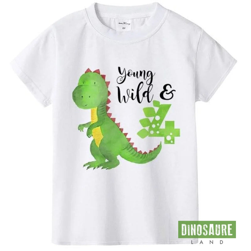 Tee-Shirt Dinosaure 8 Ans