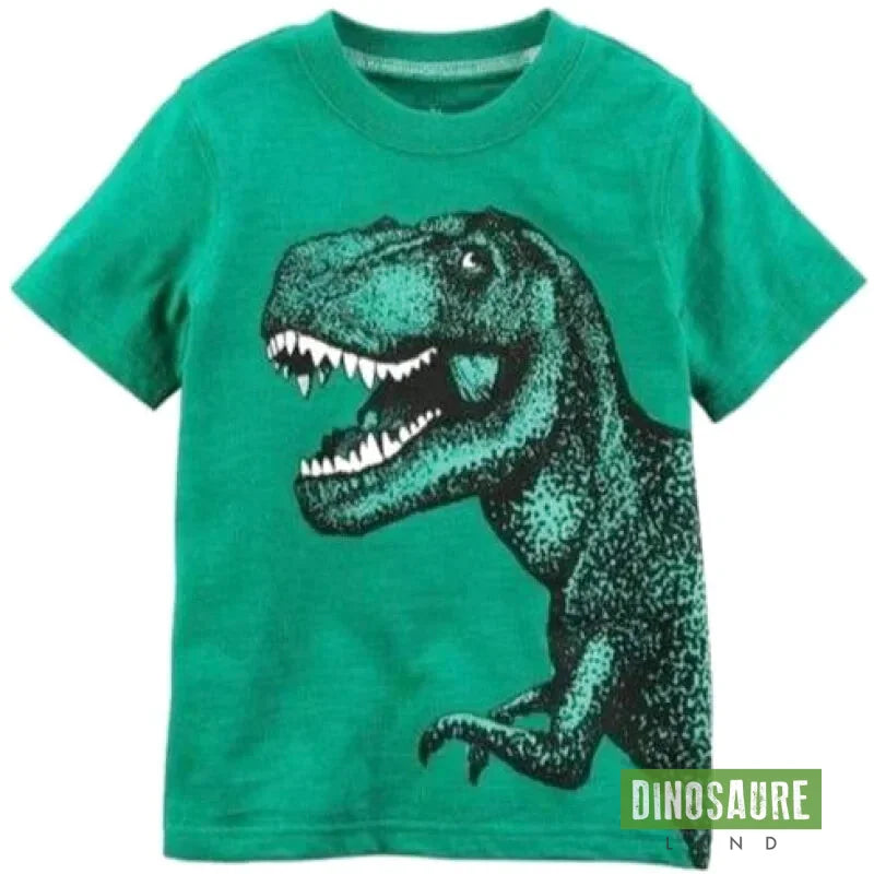 t shirt dinosaure enfant